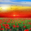 Red Poppies Field Sunset Diamond Painting