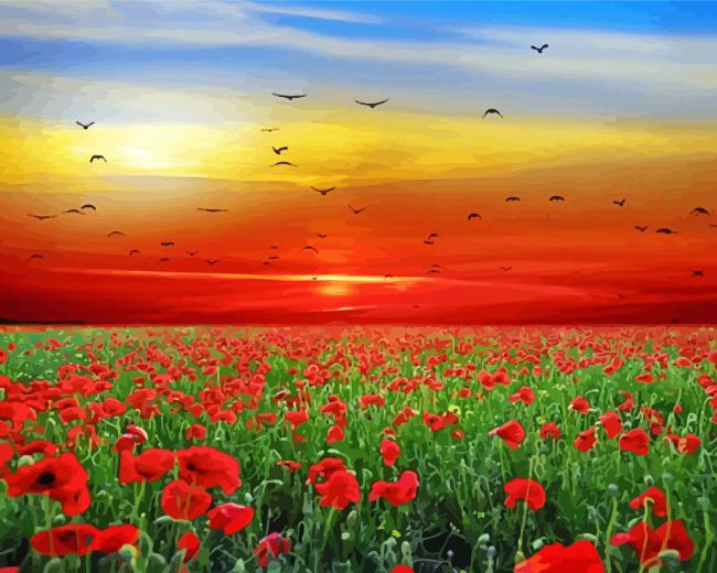 red poppies field sunset Diamond By Numbers Red Poppies Field Sunset Diamond Painting