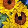 Two Yellow Sunflowers Diamond Painting