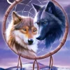 Wolf Dream Catcher Diamond Painting