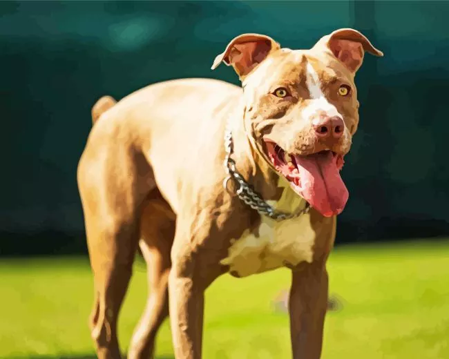 brown amstaff Diamond Painst Brown Amstaff Diamond Painting