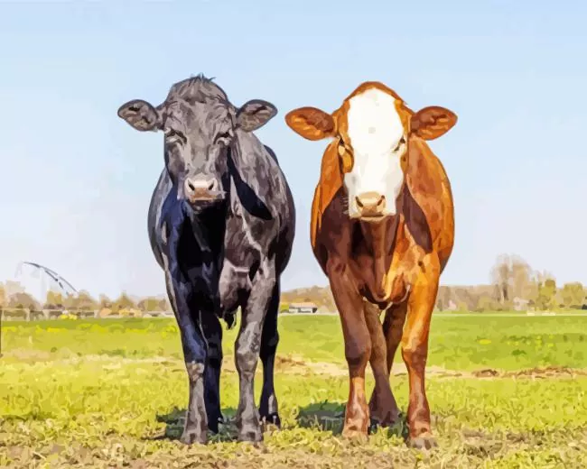 brown and black cows Diamond With Numbers Brown And Black Cows Diamond Painting