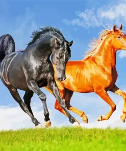 Brown And Black Horses Diamond Painting