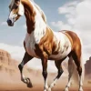 Brown And White Horse Diamond Painting