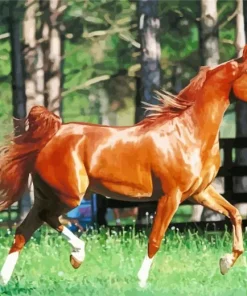 Brown Arabian Horse Diamond Painting