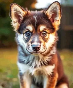 Brown Baby Husky Diamond Painting