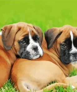 Brown Boxer Puppies Diamond Painting