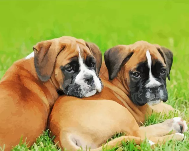 brown boxer puppies Diamond Paints Brown Boxer Puppies Diamond Painting