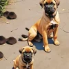 Brown Bull Mastiff Puppies Diamond Painting