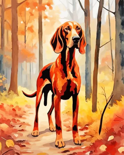 brown coonhound dog Diamond By Numbers Brown Coonhound Dog Diamond Painting