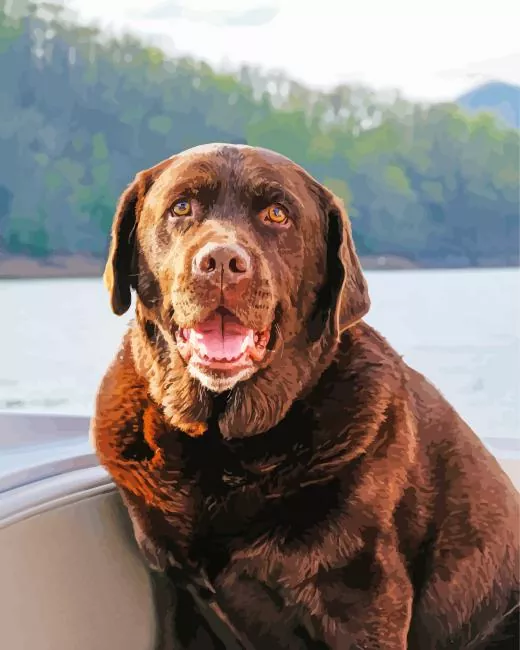 brown english labrador Diamond Paints Brown English Labrador Diamond Painting