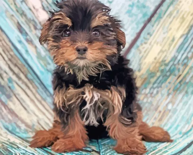 brown morkie dog Diamond By Numbers Brown Morkie Dog Diamond Painting