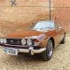 Brown Triumph Stag Diamond Painting