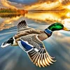 Flying Mallard Art Diamond Painting