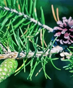 Jack Pine Plant Diamond Painting