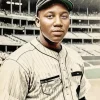 Josh Gibson Diamond Painting