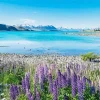 Lake Tekapo New Zealand Diamond Painting