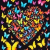 Colorful Butterflies Diamond Painting