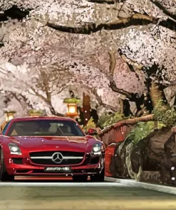 Burgundy Mercedes Diamond Painting