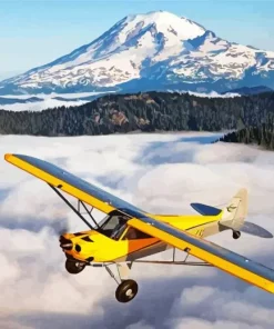 Bush Plane Diamond Painting