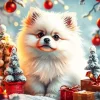 Christmas White Pomeranian Diamond Painting