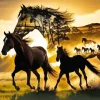 Freedom Horse Silhouette Diamond Painting