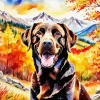 Funny Chocolate Lab Diamond Painting