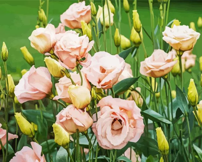lisianthus flowers Diamond By Numbers Lisianthus Flowers Diamond Painting