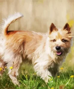 Blonde Cairn Terrier Dog Diamond Painting