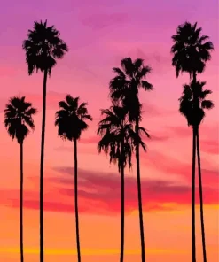 Sunset California Palm Trees Diamond Painting