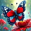 Butterfly On Red Flower Diamond Painting