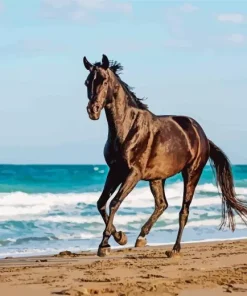 Horse Beach Diamond Painting