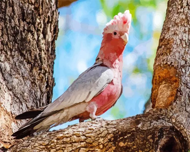 pink cockatoo bird Diamond By Numbers Pink Cockatoo Bird Diamond Painting