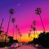 Pink Sunset California Diamond Painting