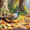 California Quail Diamond Painting