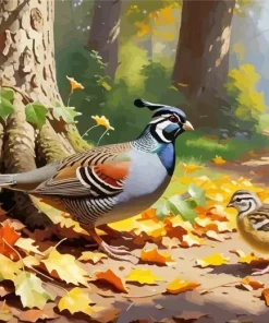 California Quail Diamond Painting