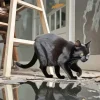 Black Cat Reflection Diamond Painting