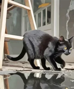 Black Cat Reflection Diamond Painting