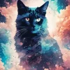 Black Cat In The Sky Art Diamond Painting