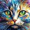 Colorful Cat Face Art Diamond Painting