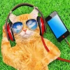 Cool Cat Listening To Music Diamond Painting