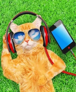Cool Cat Listening To Music Diamond Painting