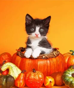 Kitty And Pumpkins Diamond Painting