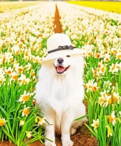 Aesthetic Samoyed With Hat Diamond Painting