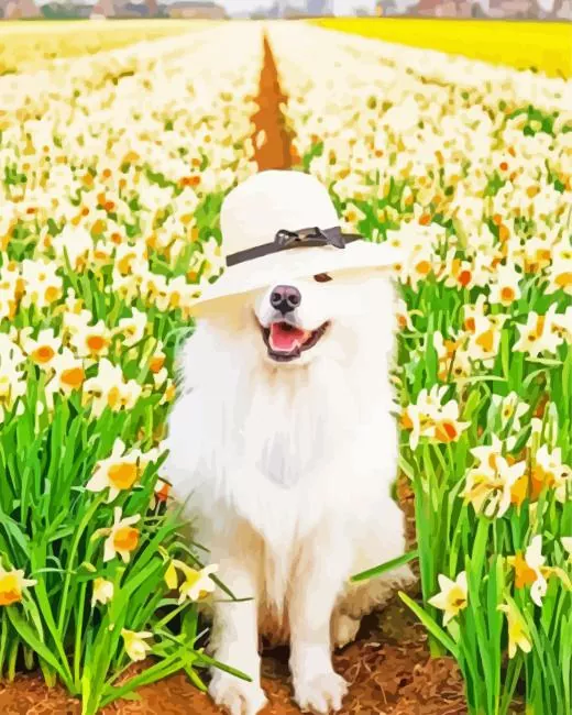 aesthetic samoyed with hat Diamond Paintings Aesthetic Samoyed With Hat Diamond Painting