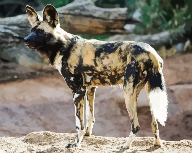 african wild dog Diamond Paintings African Wild Dog Diamond Painting