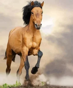 Beige Mustang Horse Diamond Painting