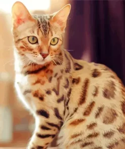 Bengal Cat Diamond Painting