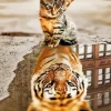 Cat And Tiger Reflection Diamond Painting