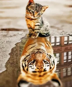 Cat And Tiger Reflection Diamond Painting